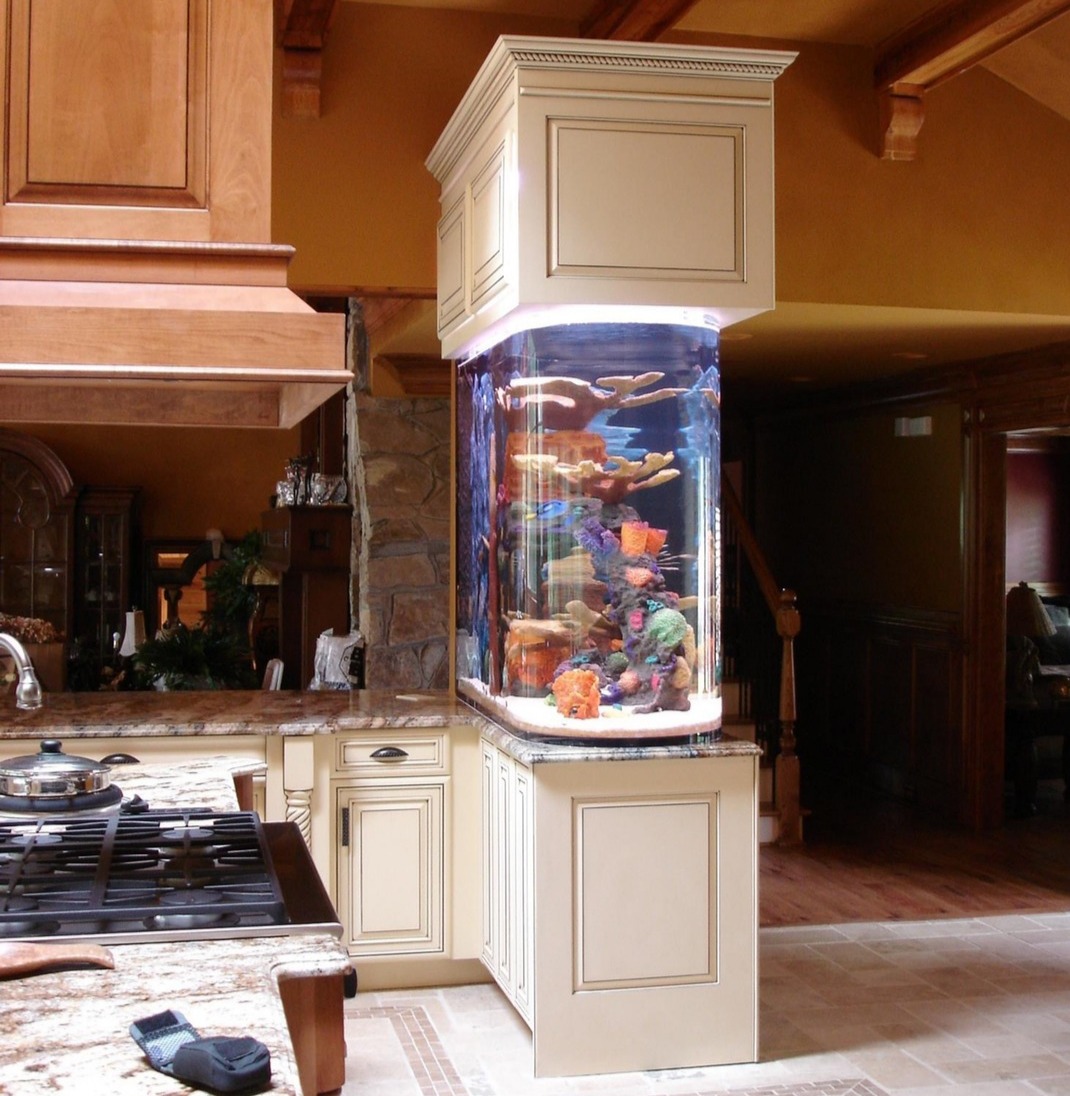 Aquarium Services Aquarium Services