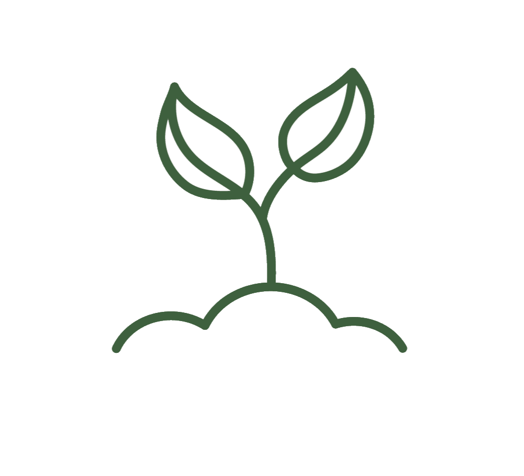 Lawn Maintenance Lawn Maintenance