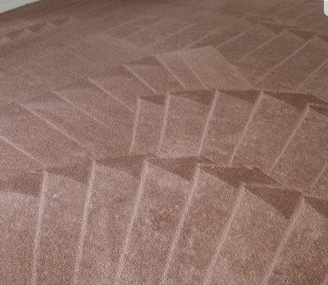 Services Extremely Clean Carpets & Services Carpet Cleaning Service