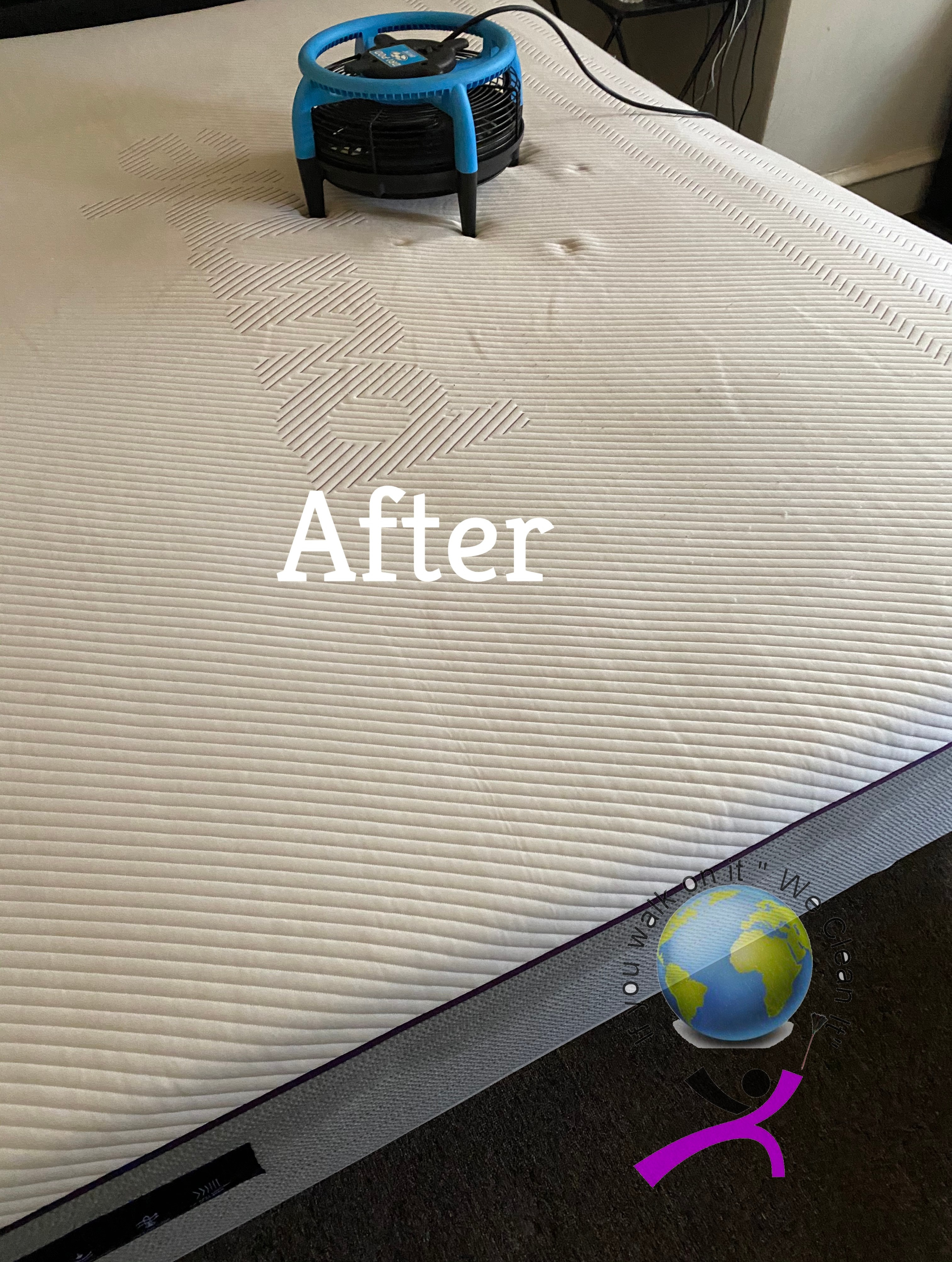 upholstery cleaning upholstery cleaning