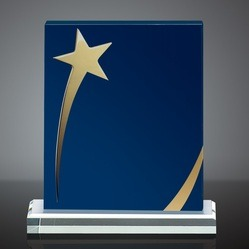 Shining Star Award Shining Star Award