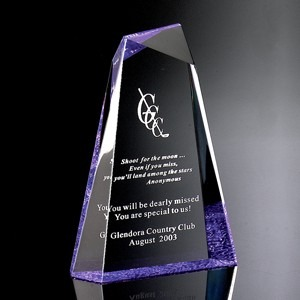 Pinnacle Award III Pinnacle Award III