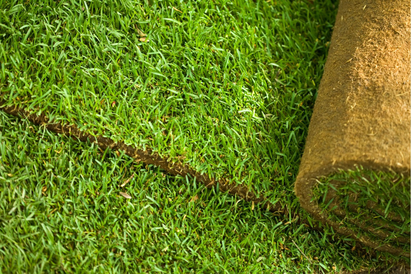 Landscape Installation Landscape Installation