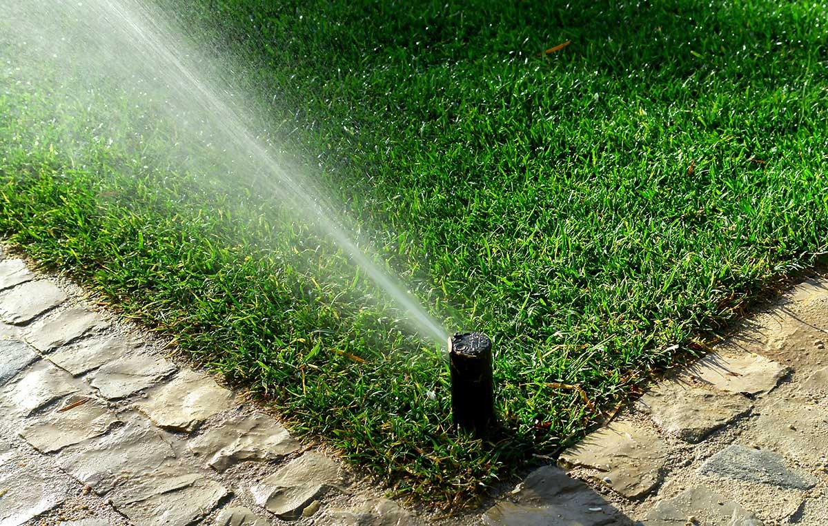 SPRINKLER2 SPRINKLER2