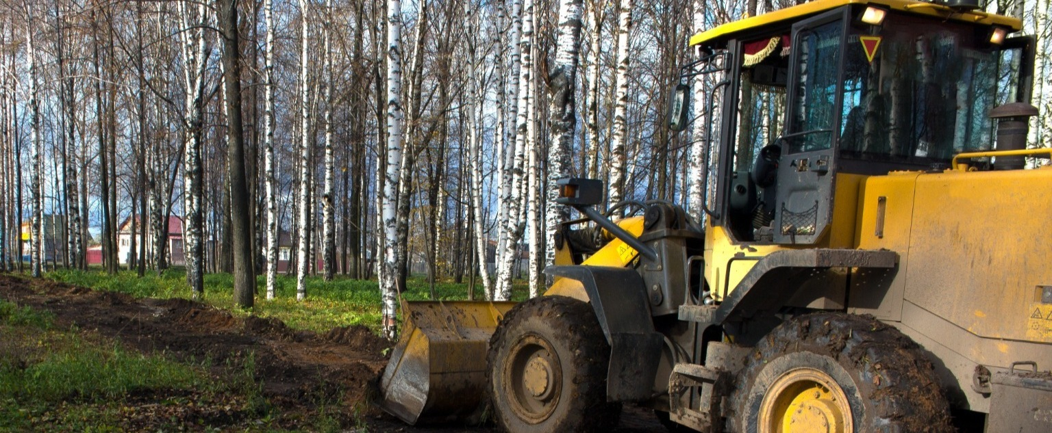Land Clearing Land Clearing
