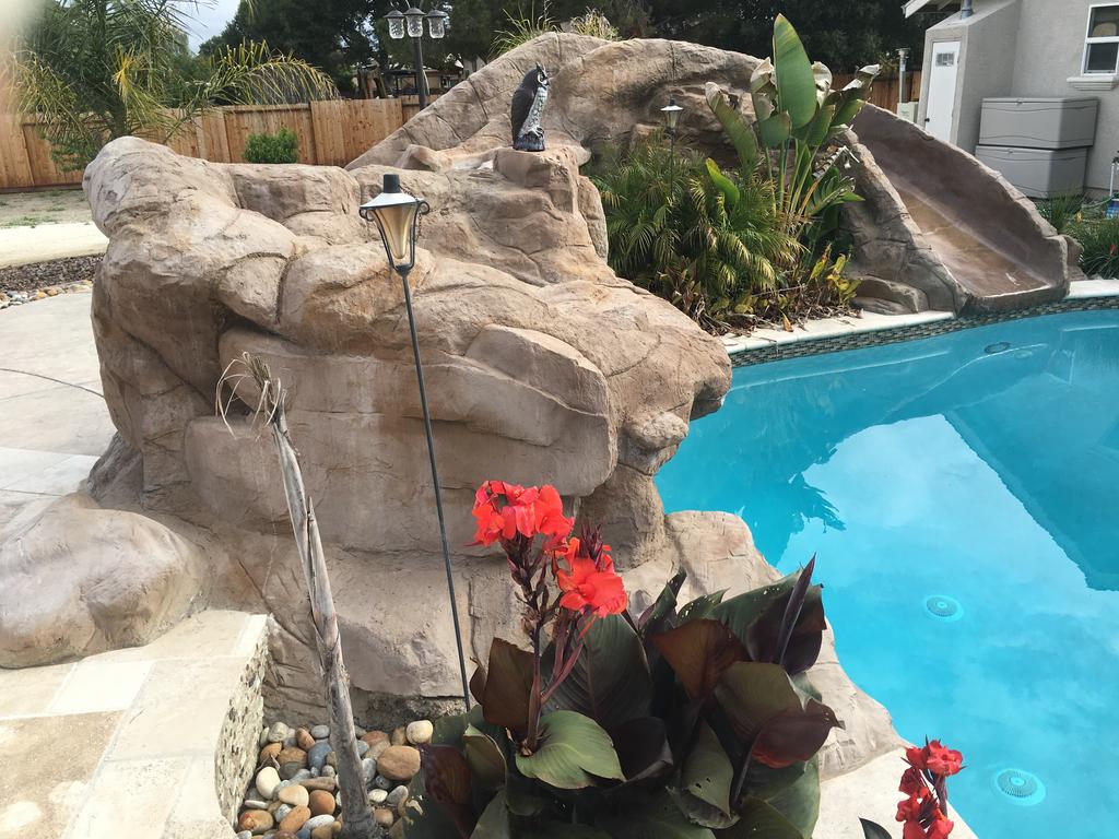 Rock and Waterfall Pools