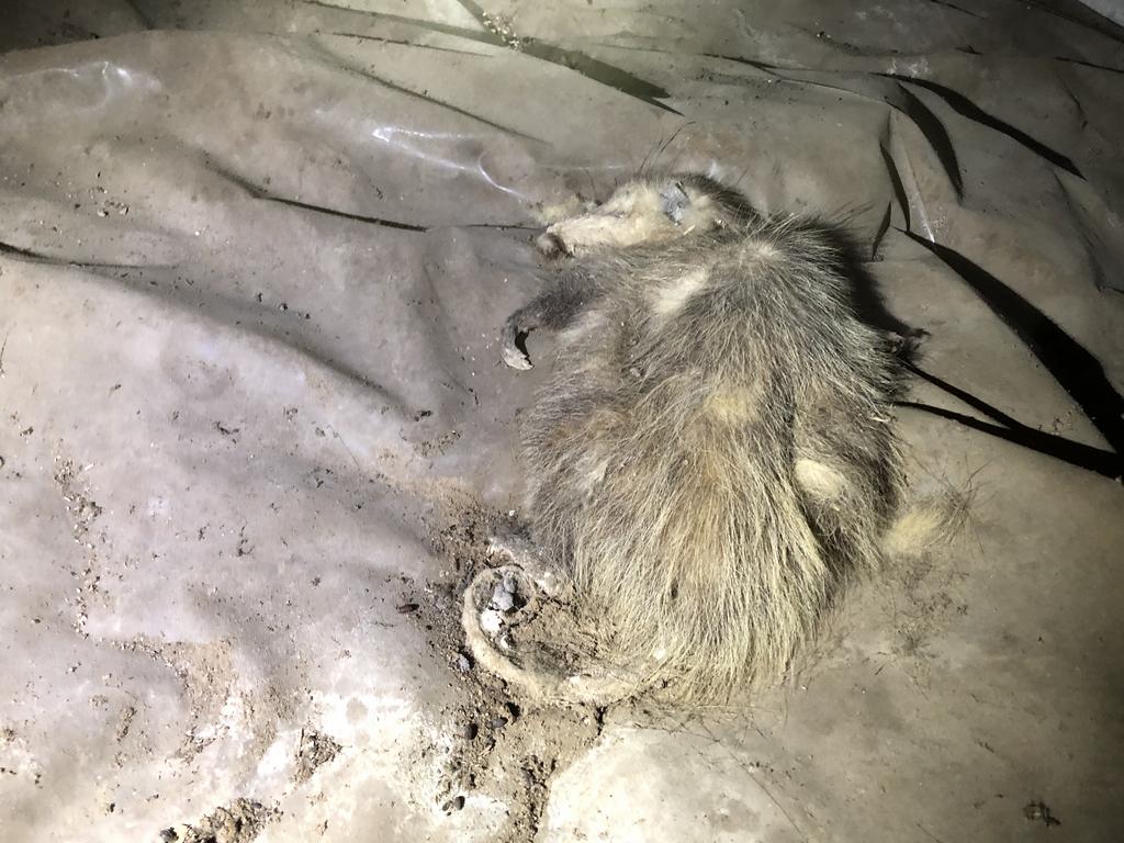  At least once a week I get this