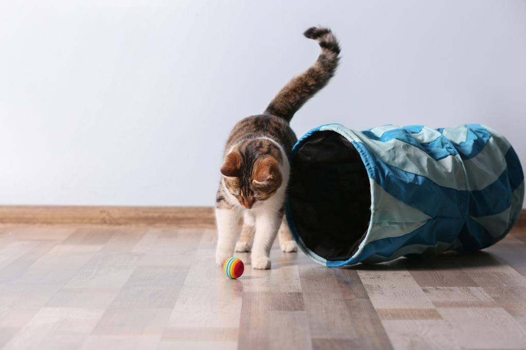 Pet Odor Topical Treatment - Pet Room
