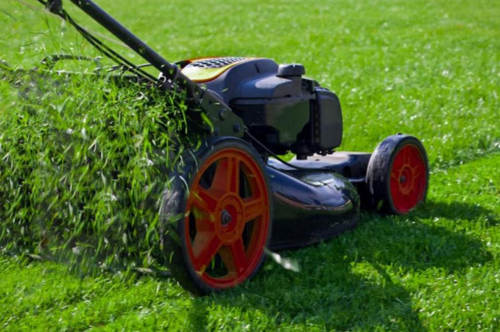 Pest Control San Antonio TX Tornado Pest Control LLC