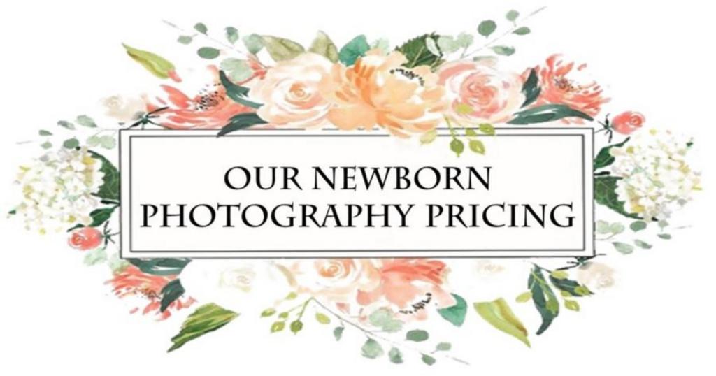 Sunflower Photography
