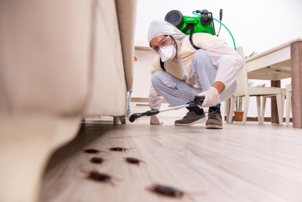 ROACH CONTROL SERVICES