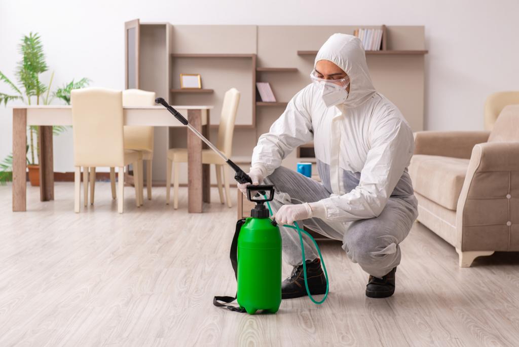 POWER SPRAYING