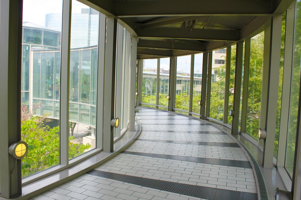 Commercial Window Cleaning