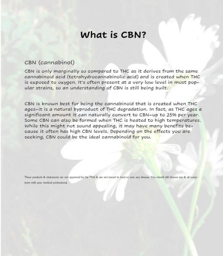 Body Endocannabinoid System