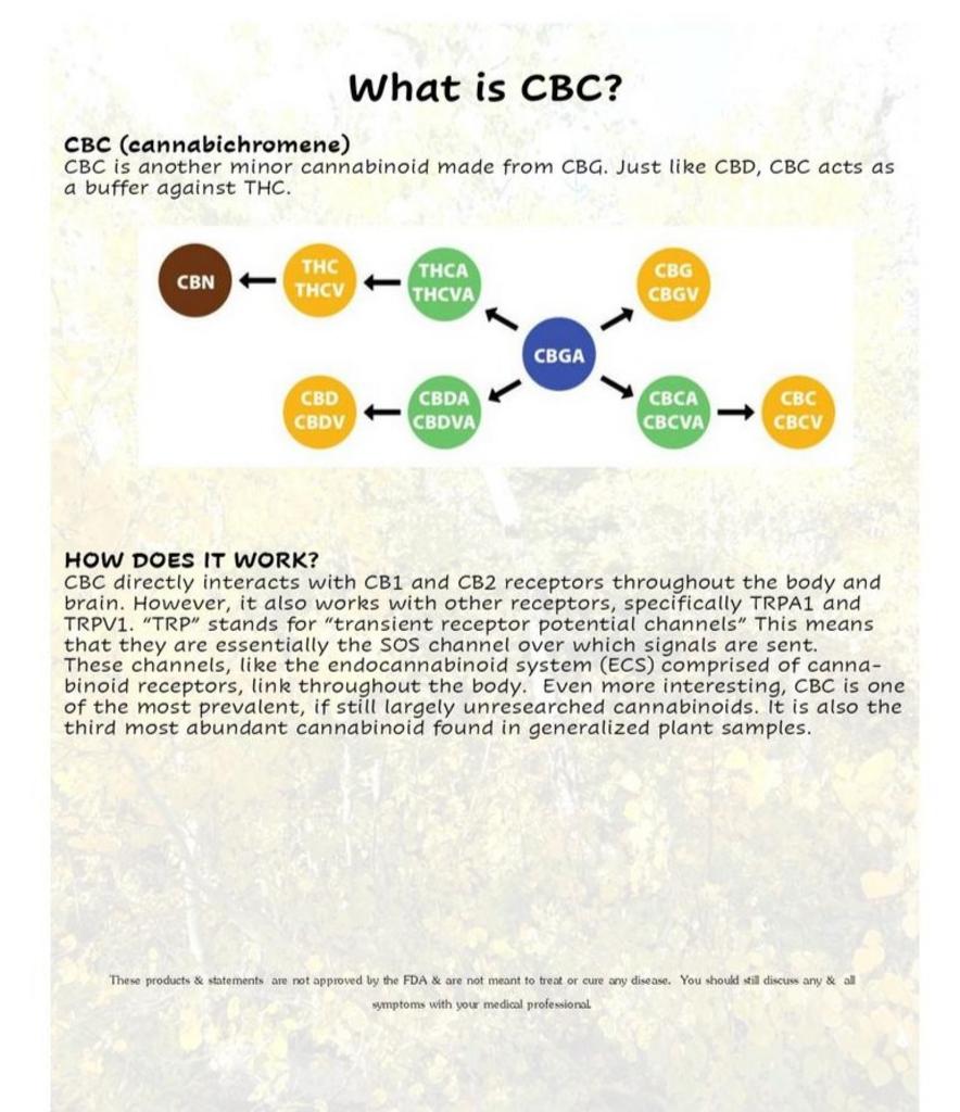 Body Endocannabinoid System