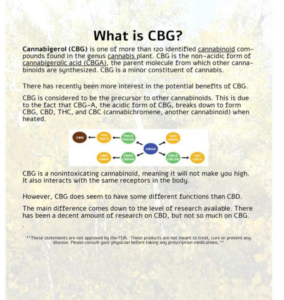 Body Endocannabinoid System