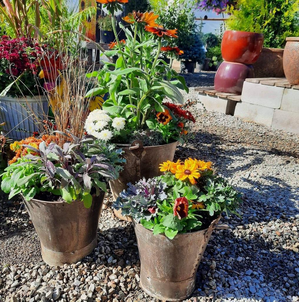 Westwood Gardens