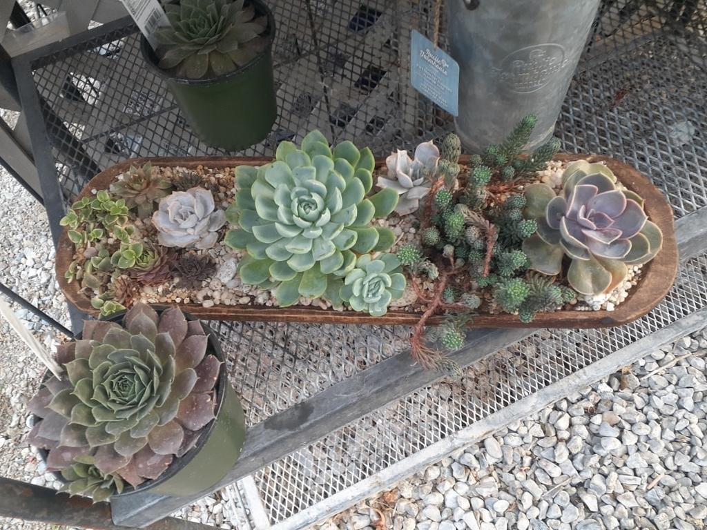 Westwood Gardens