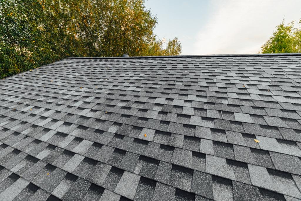 Flat Roof