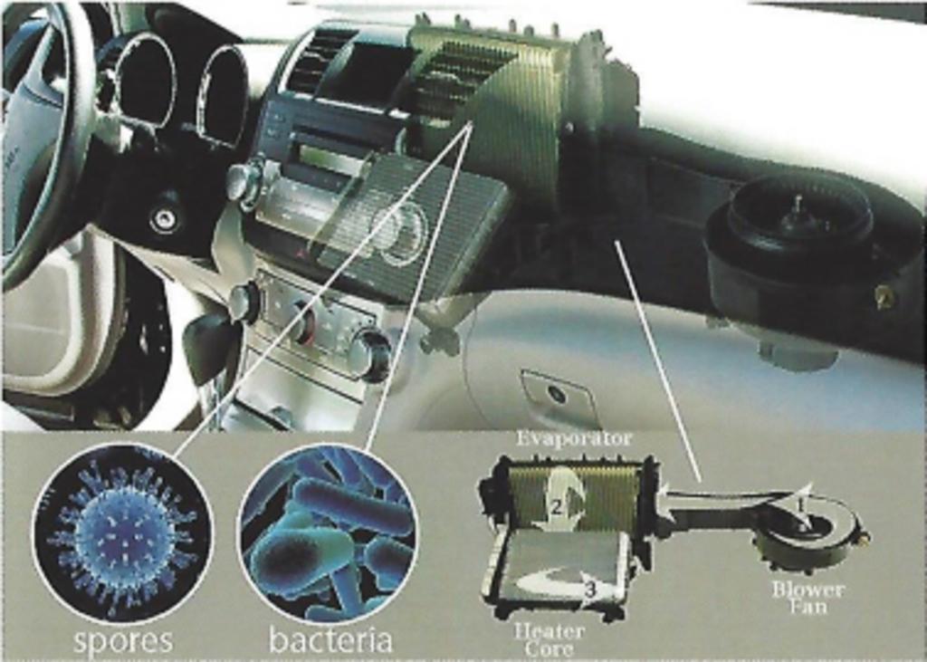 AUTOMOTIVE VENTILATION SYSTEM CLEANOUT The Clean Air People Air