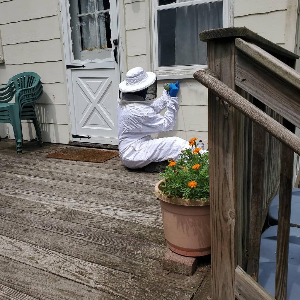 HOME Universal Pest Control in Roselle, NJ