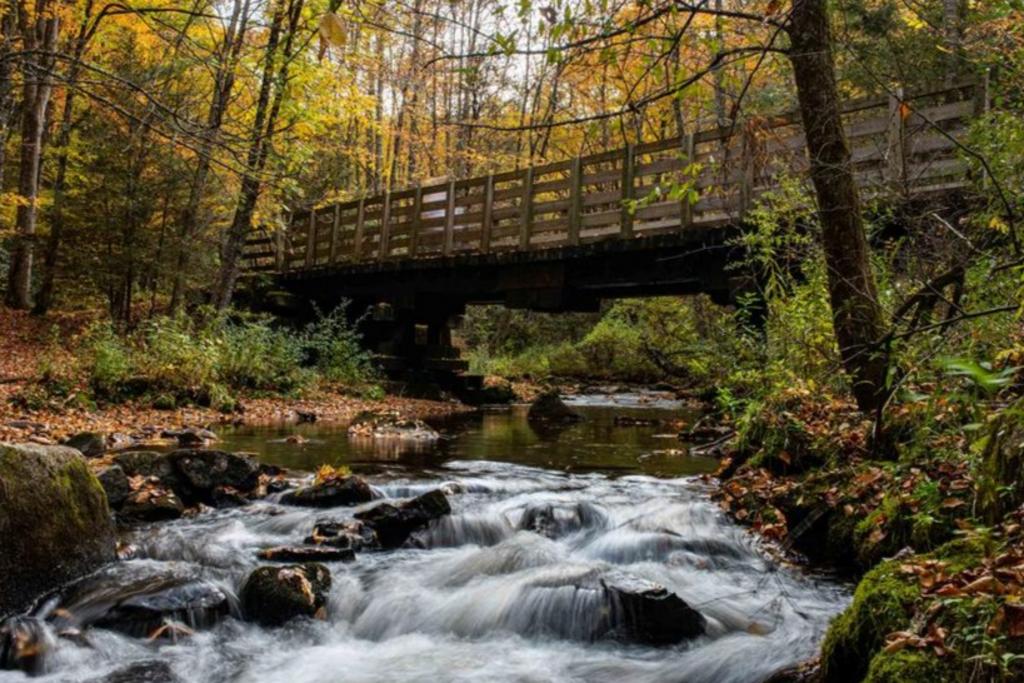 Gallery Adventure Damascus & Sundog Outfitter Bicycle Rental