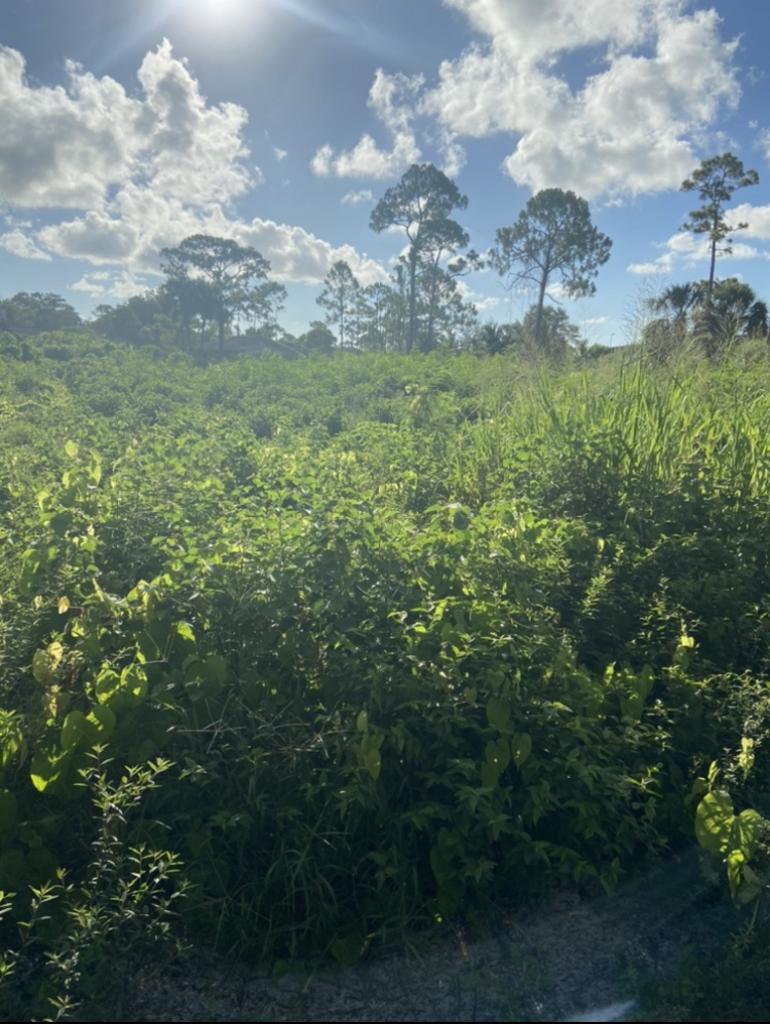 O A Excavation & Trucking | Excavating Contractor in Hialeah Gardens, FL