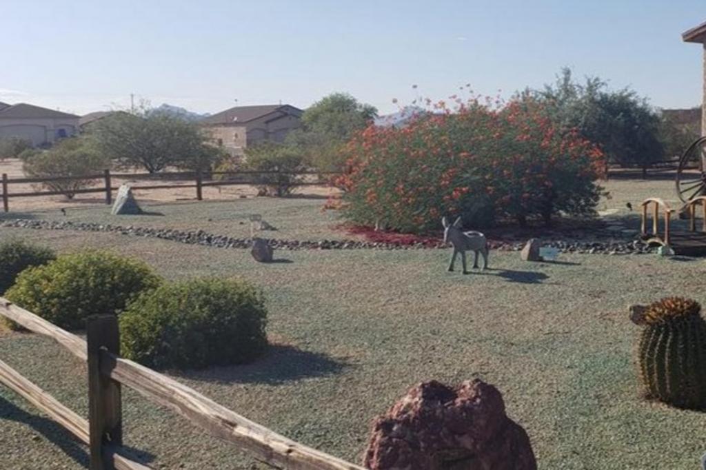 Poppy Yard Solutions Landscaper in Tucson AZ, AZ