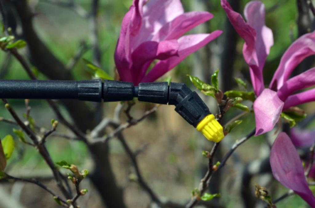 WEED CONTROL Gonzalez Pest Control Pest Control in Chickasha, OK