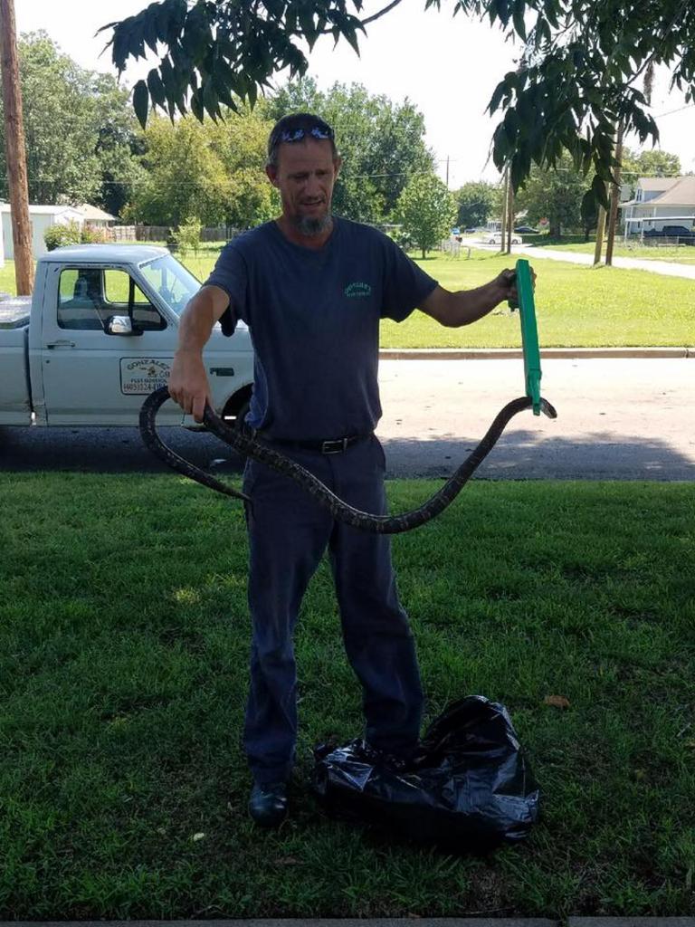 GALLERY Gonzalez Pest Control Pest Control in Chickasha, OK