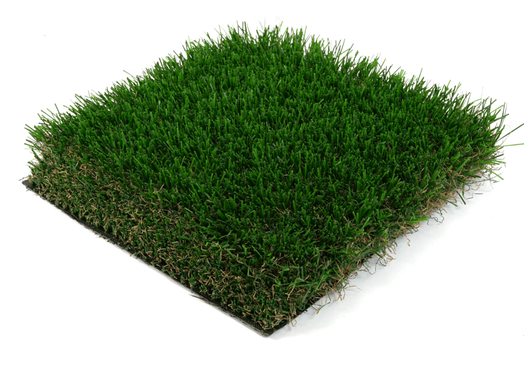 Kentucky Blue Grass 130