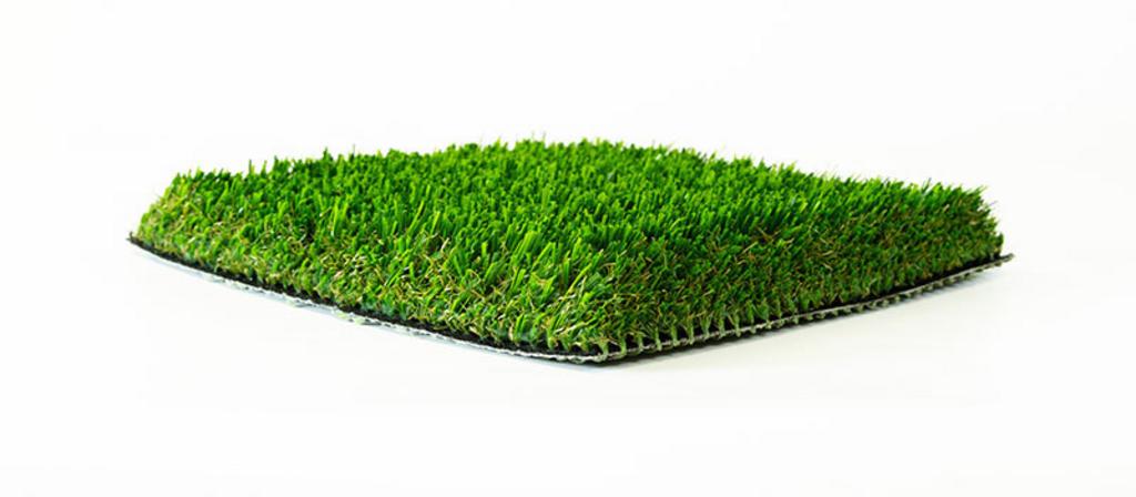 Kentucky Bluegrass 130