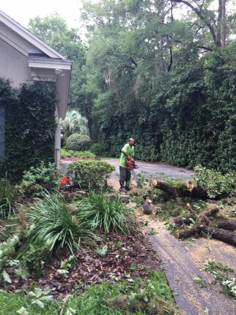 Dathan Baties Trees LLC Tree Service in Gainesville, GA