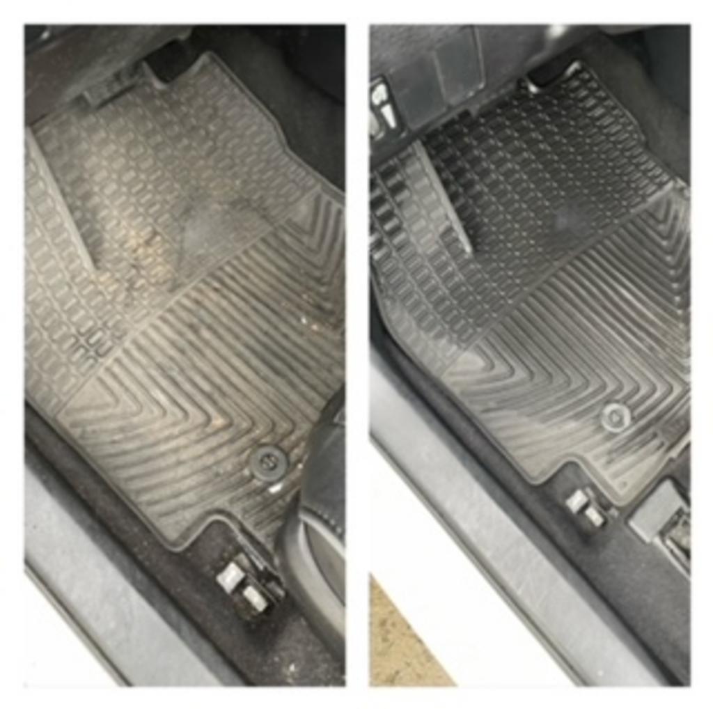 Mobile Detailing - Floomat Cleaning - Roseville, CA
