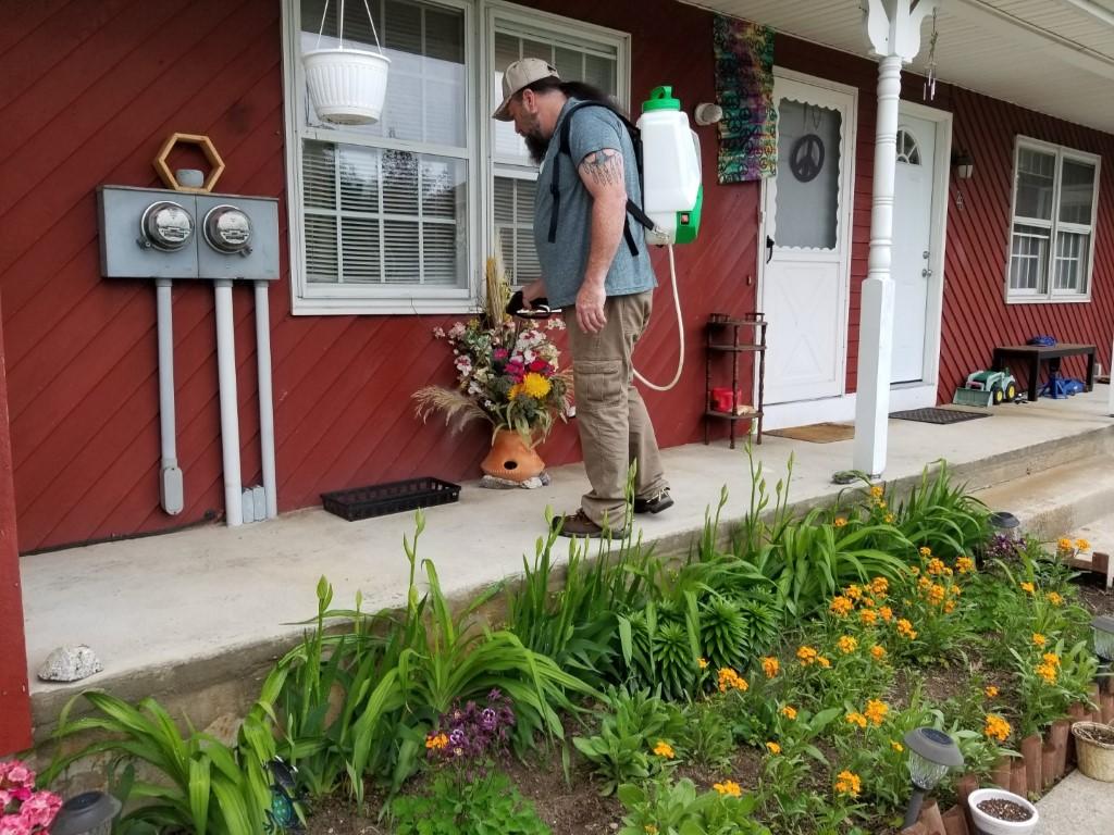 All Green Pest Control, LLC Pest Control Service in Springfield, MA