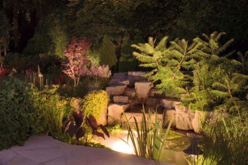 Native Texas Landscape Design & Construction