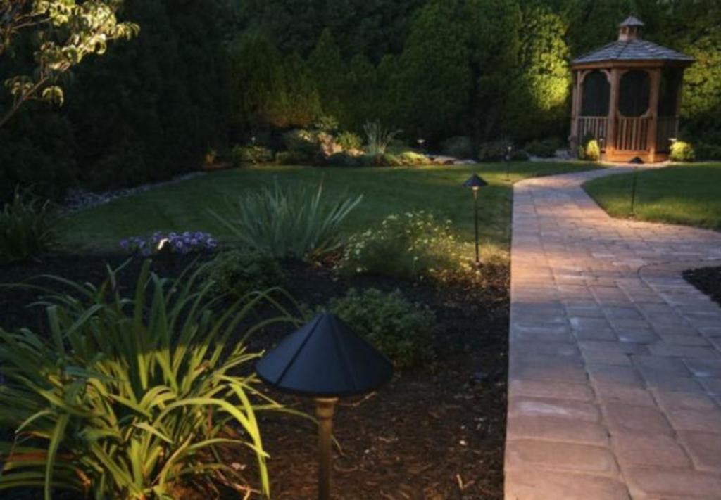 Native Texas Landscape Design & Construction