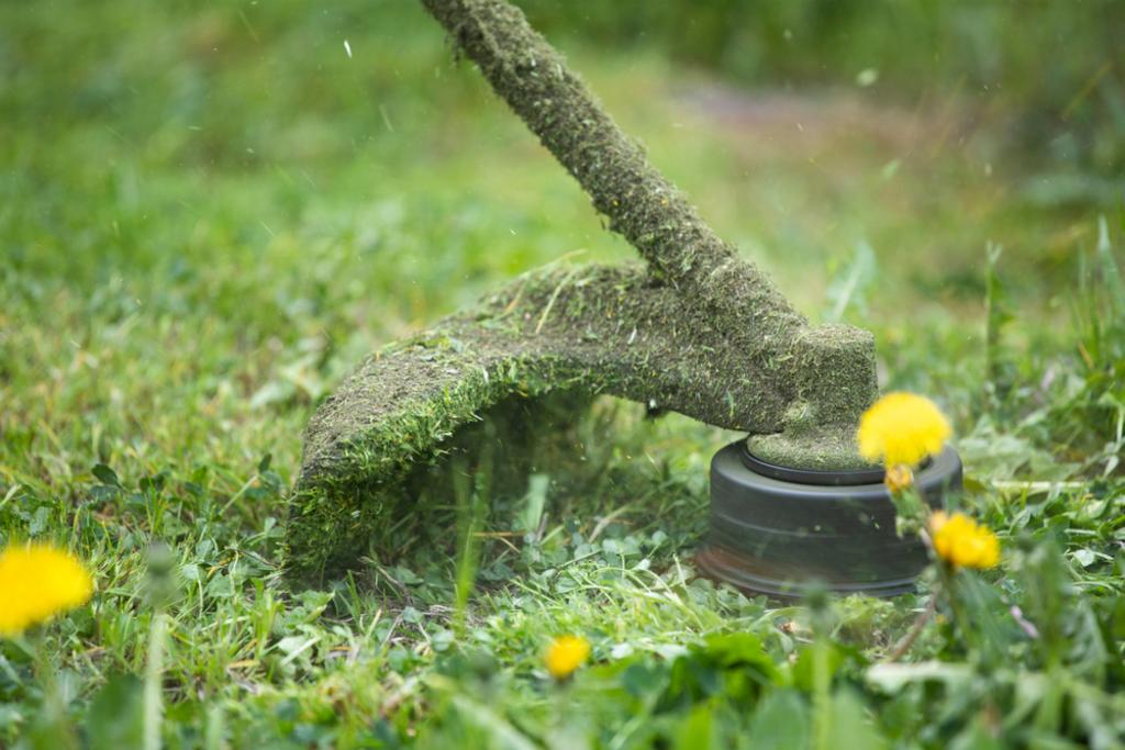  Ortiz Top Notch Lawn Care