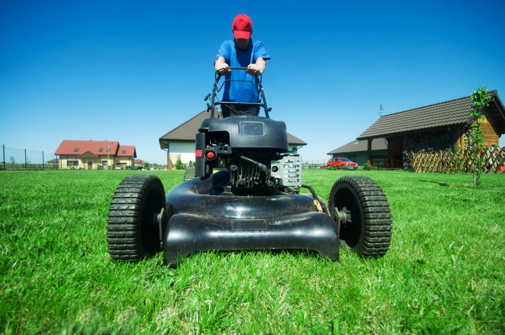  Ortiz Top Notch Lawn Care