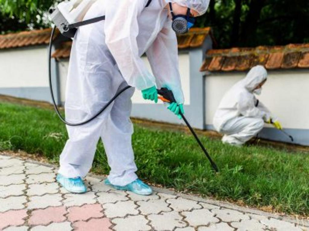PEST CONTROL SERVICES