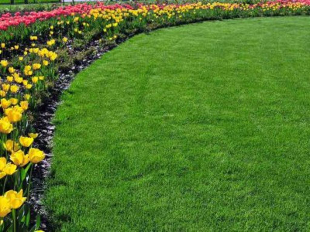 LAWN TREATMENT