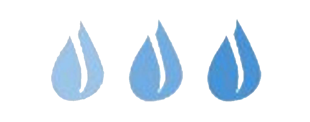 Revive Restoration, LLC