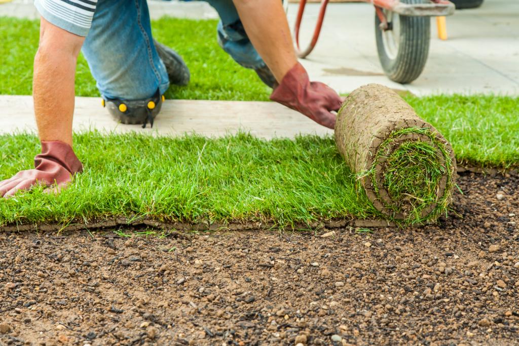 Landscaping Installation