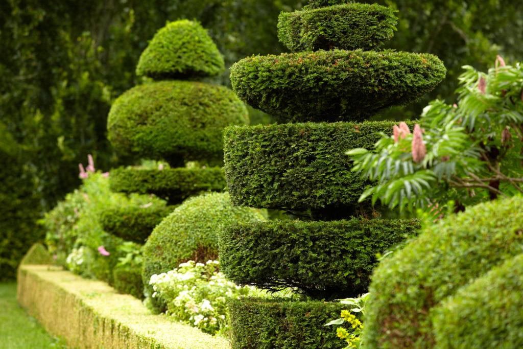 Landscaping Design