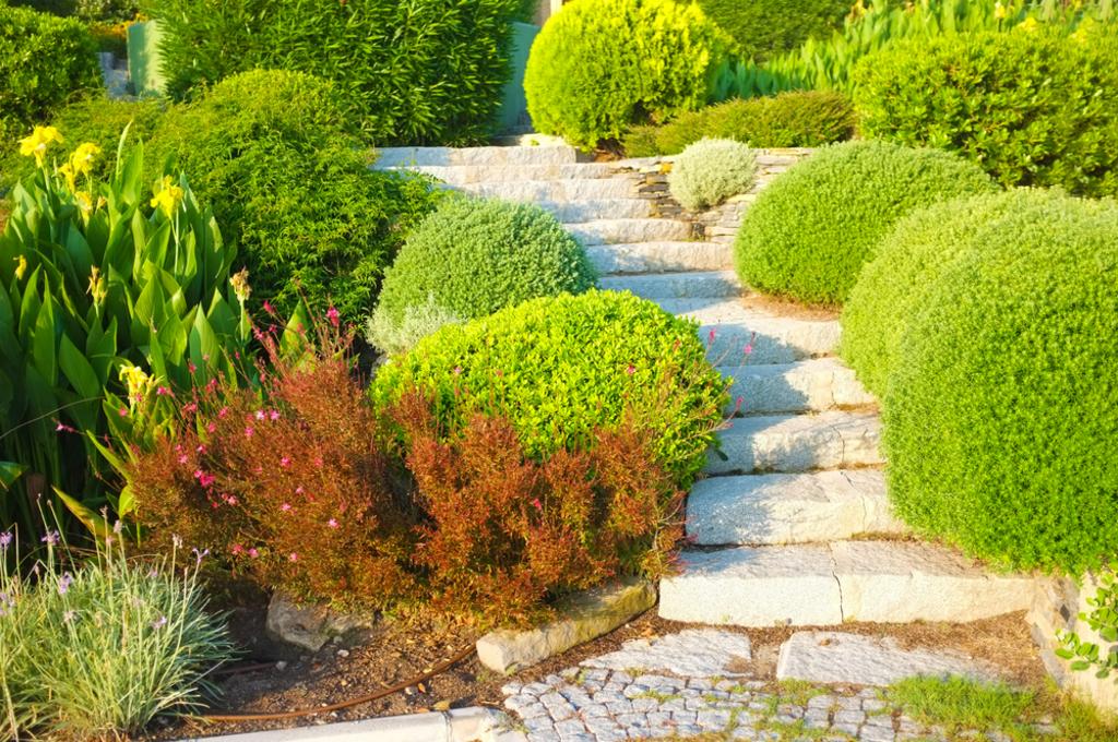 Yard Boys Total Landscaping