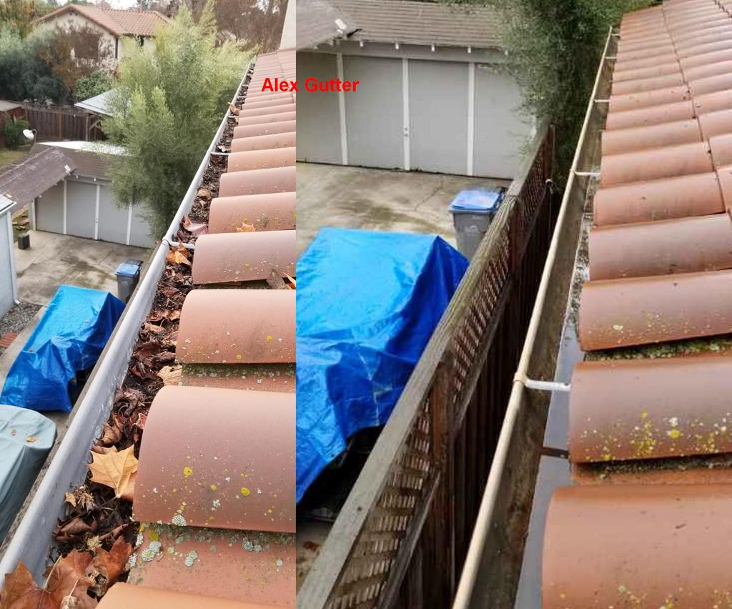Gutter Cleaning