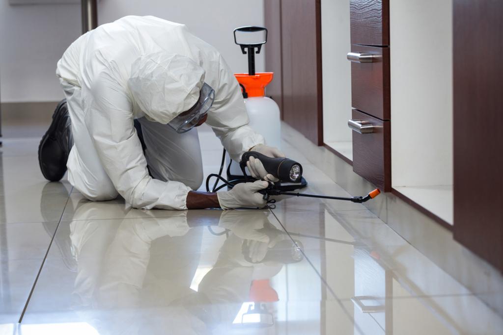 Silencer Pest Management