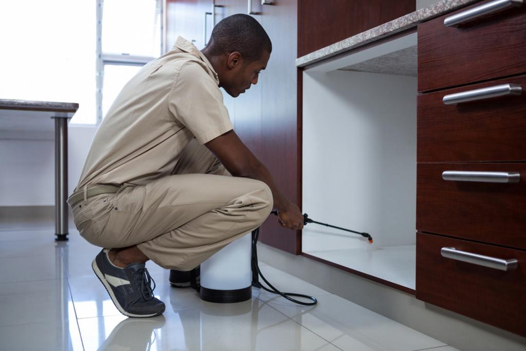 Silencer Pest Management