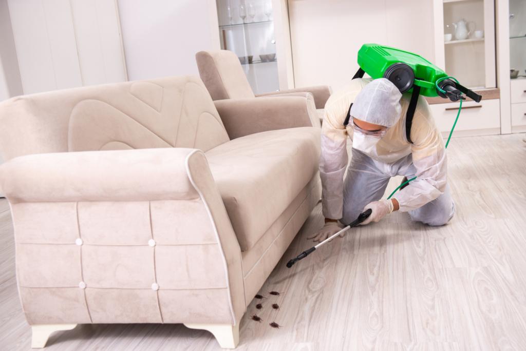 Silencer Pest Management