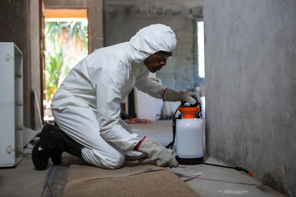 Structural Pest Control
